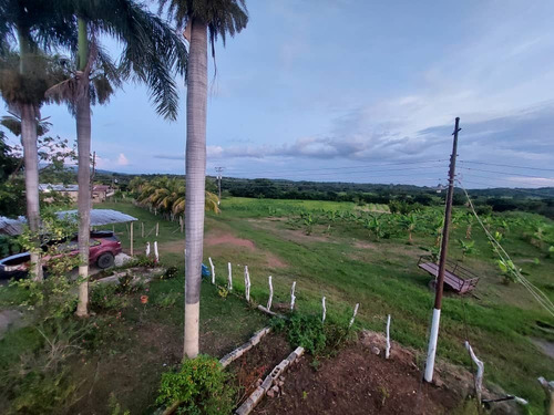 Finca En El Placer, Parroquia Carmen De Cura, Municipio Camatagua Del Estado Aragua. Pfml