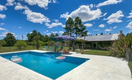 Imagen 7 de 30 de Chacra De 6700 M2 Con Casa Y Piscina En La Pataia - Consulte - Punta Ballena La Pataia