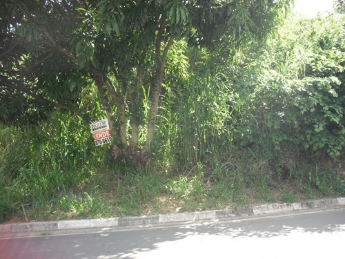 Imagem 2 de 4 de Terreno Para Chácara - 260