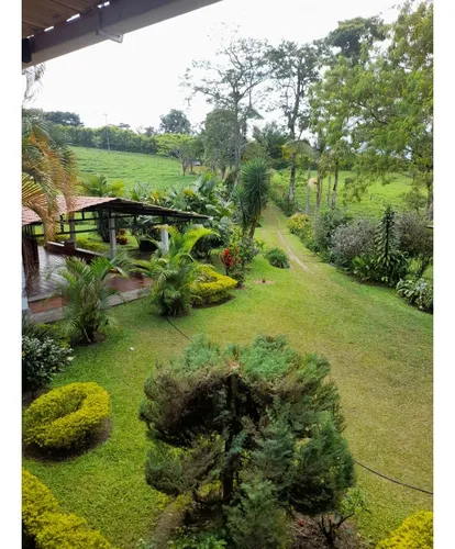 Venta Finca Sector La Pola - 7 Cuadras