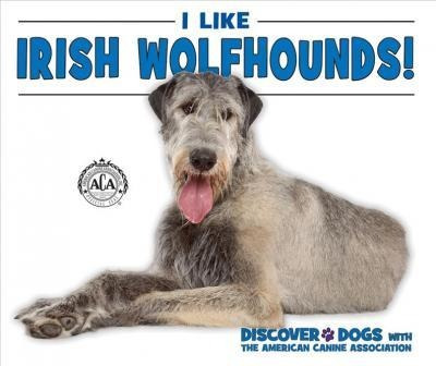 I Like Irish Wolfhounds! - Linda Bozzo