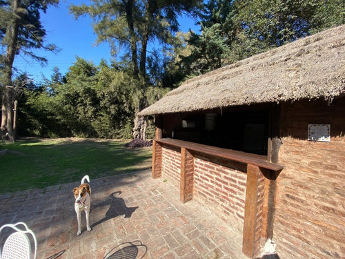 Imagen 17 de 30 de Dueño Alquila Quinta 15 Días Mínimo En Temporada - Zona Norte - Capilla Del Señor.