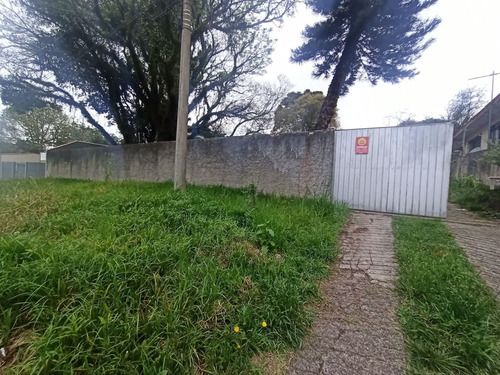 Imagem 2 de 9 de Terreno À Venda, 600 M² Por R$ 600.000,00 - Cajuru - Curitiba/pr - Te0108