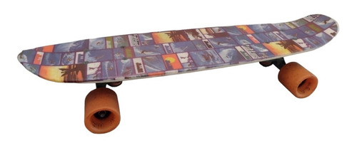 Skate Pro Class Vintage Fibra De Vidrio Usado Armonyshop (Usado)