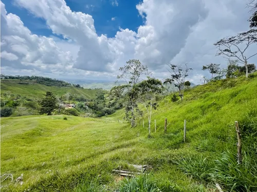 Se Vende Finca De 7 Hectáreas En San Roque, Antioquia
