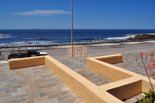 Imagen 7 de 23 de Frente Al Mar, Con Vista A Playa Brava