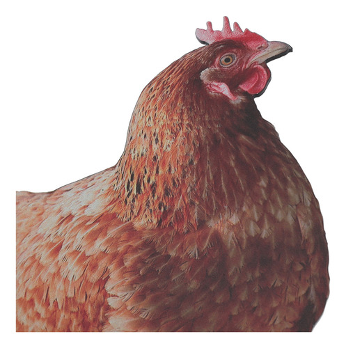 Estatua Realista De Gallina Y Gallina Con Forma De Gallina P