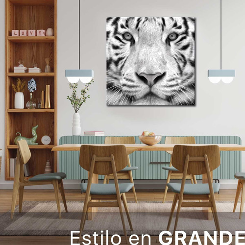 Cuadro Tigre De Bengala Blanco Animale Canvas Bastidor 60x60