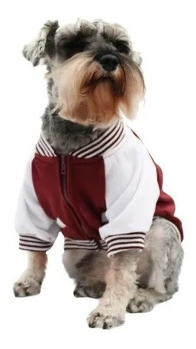 Chamarra Universitaria Perro Guinda Blanco Talla 7 Pet Pals