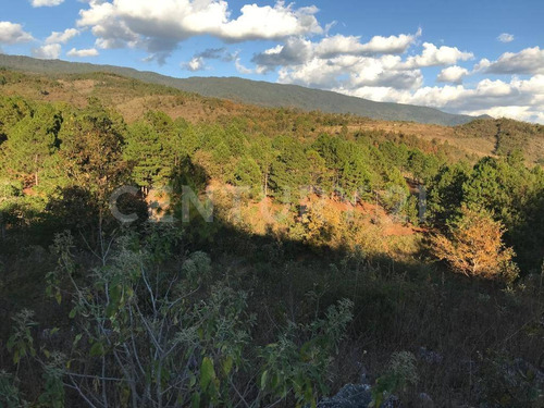 Terreno Rustico En Venta En La Localidad El Manzanillo