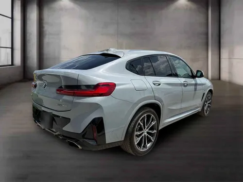 BMW X4 5p xDrive 30i L4/2.0/T Aut