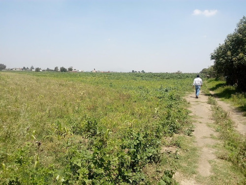 Imagen 3 de 3 de Terreno Parcelario Con 2511.18m2 Tramo Chalco-limite Del Estado De México /morelos.