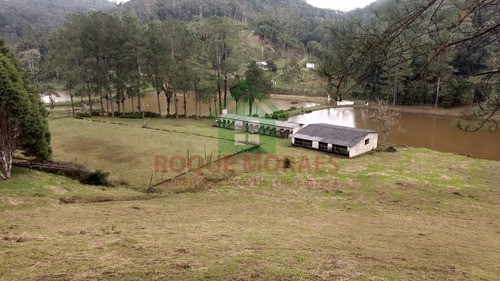 Imagem 8 de 20 de Sítio À Venda Em Juquitiba Sp Medindo 48000m² Ref 1002