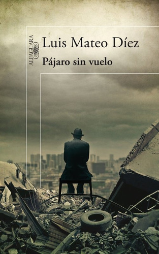 Pájaro Sin Vuelo Luis Mateo Díez Nuevo Envío Gratis