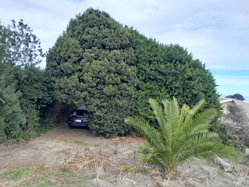 Vendo Un Terreno Y Casa En El Tabo 4d/2b/30e/3b Av Principal