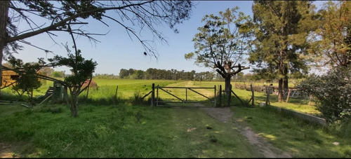 Imagen 2 de 3 de Se Vende 27 Has De Campo En Gral Rodriguez