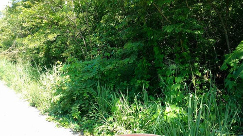 Se Vende Rancho 16 Has Carretera Naranjos-tamiahua Veracruz