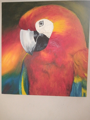 Cuadro Pintado Al Óleo De Guacamayo Rojo