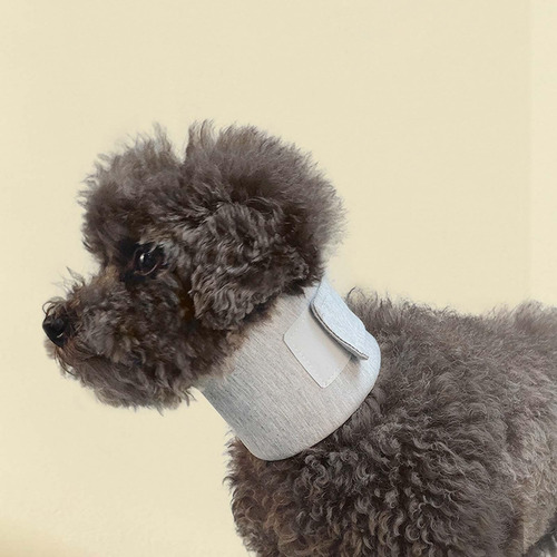 Perro Cuello Ortopédico Collar Protector Multiusos