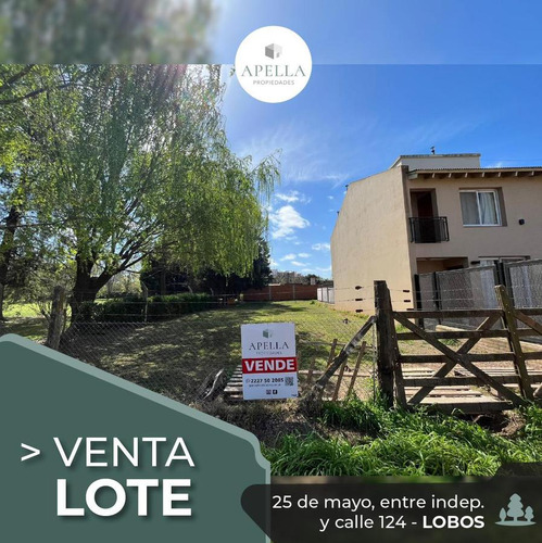 Venta - Lote