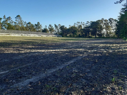 Imagen 25 de 25 de Campo,ideal Complejo De Cabañas. En La Peregrina. Oportunidad!