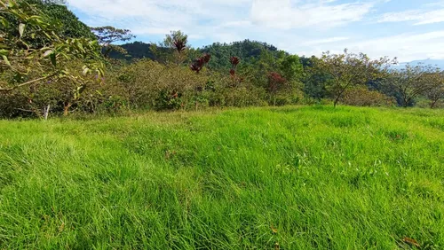 Deja Que El Campo Trabaje Para Ti : Finca En Quipile