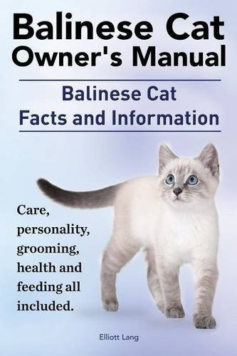 Manual Del Propietario De Gatos Balineses Datos E Informacio