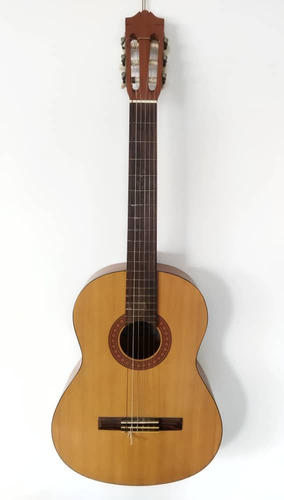 Guitarra Acústica C40m