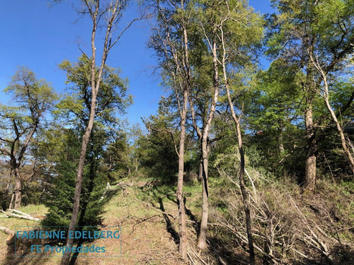 Imagen 7 de 30 de Terreno Apto Desarrollo Lote Centro 6686 M2 - San Martin De Los Andes