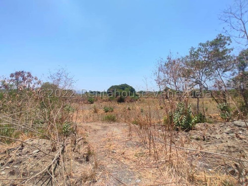 Imagen 8 de 12 de Terreno En Venta En Intercomunal Turmero-maracay Aragua 22-25814 Irrr