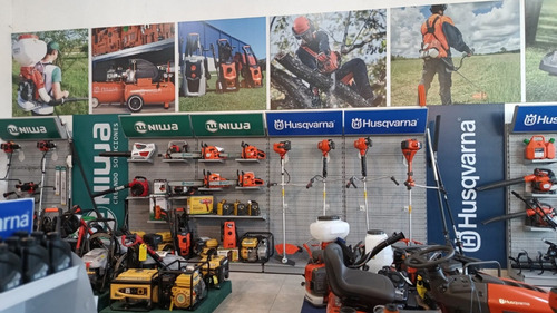 Desmalezadora Stihl Fs 160