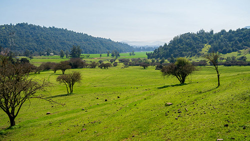 Imagen 14 de 20 de Lomas De Huemul