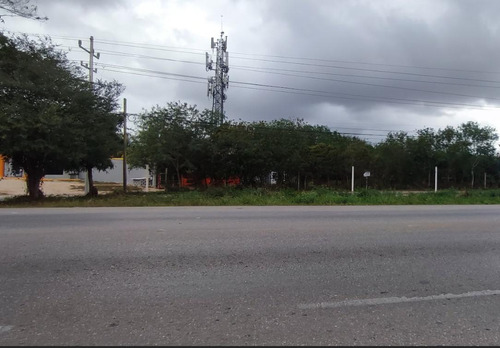 Terreno En Renta En Carretera Tixkokob