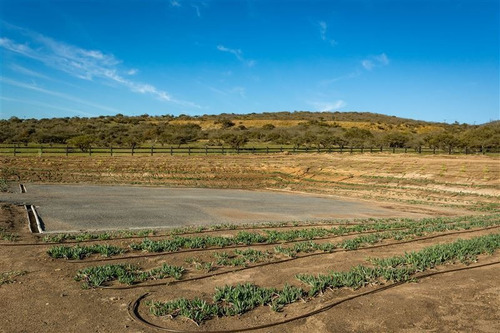 Imagen 13 de 28 de Agrícola En Venta En Zapallar