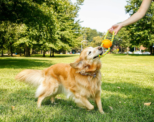 Juguetes Para Perros Hartz Duraplay Con Aroma A Tocino, M...