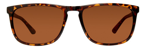 Gafas Steve Madden Outlook X17155