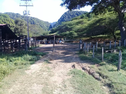Imagen 4 de 16 de Finca En Falcon En Venta.lf