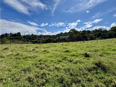 Lote y casalote en venta
