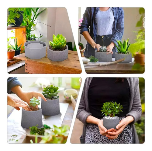 Molde Para Pisos Moldes Para Maceta, Moldes Multiusos Planta