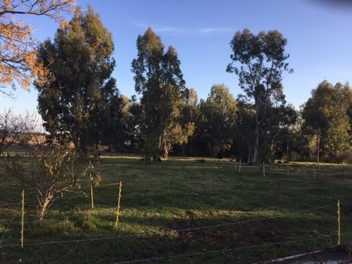 Imagen 4 de 14 de Campo Con Casas Y Galpones