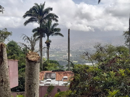 Imagen 8 de 11 de Gran Terreno 1050m²-carretera Alto Hatillo-c.ciega-vista-hatillo-if
