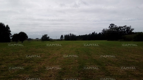 Espectacular Chacra En Venta En Manantiales -ref:30431