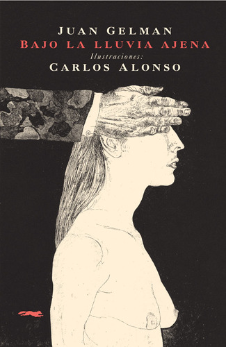 Bajo la lluvia ajena, de Alonso, Carlos. Serie Adulto Editorial Libros del Zorro Rojo, tapa blanda en español, 2019