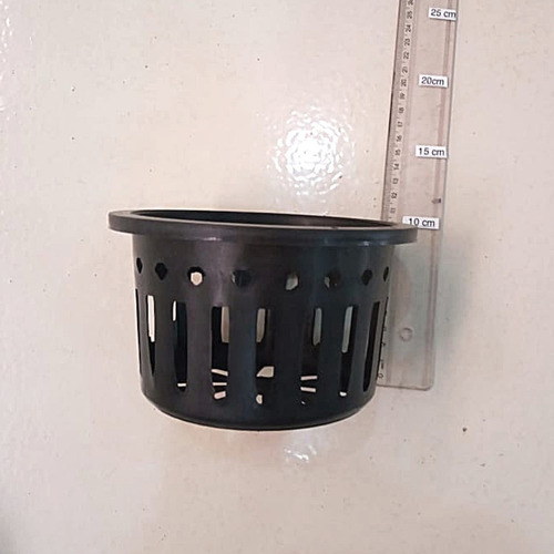5 Vasos Vazado Preto Orquídea Vanda Stanhopea 15cm