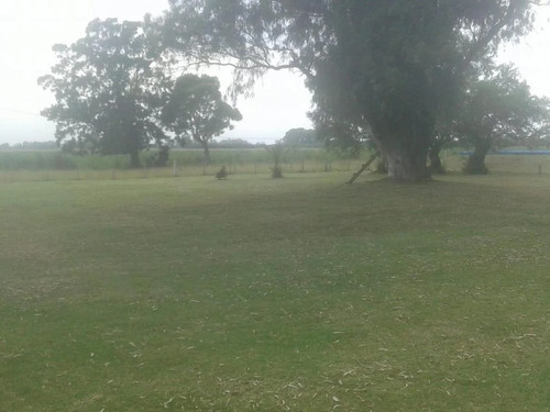Imagen 12 de 18 de Venta Chacra 40 Hs Con Criadero De Cerdos En Las Flores.