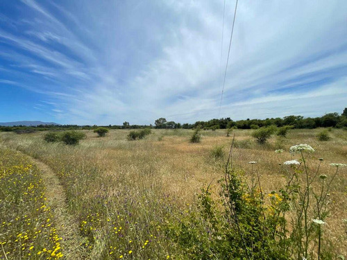 Parcela De Agrado En Condominio, Quillón (68638)