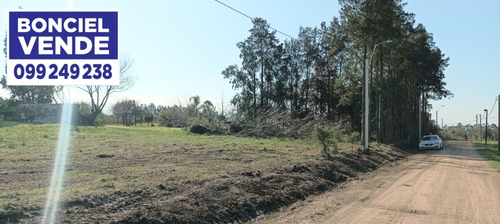 Buen Terreno Muy Bien Ubicado 