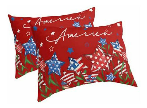 Funda Almohada  Independencia Juego 2 Rojas 20 X36 