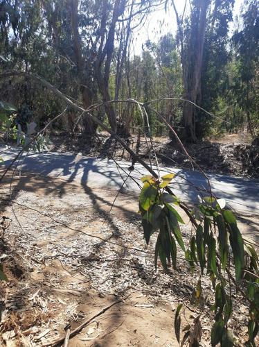 Vendo Terreno En Ritoque V Región, Rol Propio.