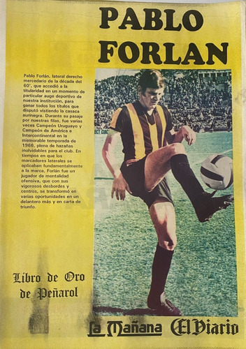 Poster Peñarol Del Libro De Oro 1991 Pablo Forlán Ez2c